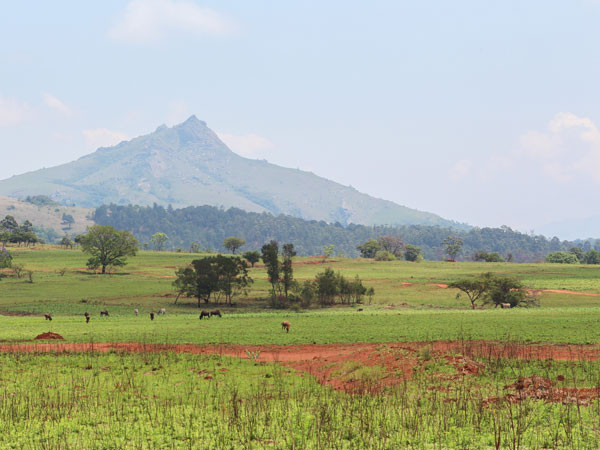 Paratus Group launches connectivity solution for Africa’s essential service organisations