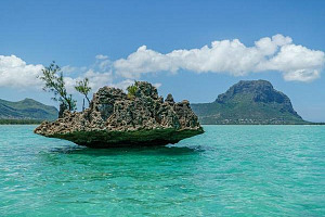 SIM registration starts in Togo but is abandoned in Mauritius
