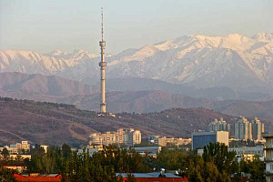 Kyrgyz govt steps in to buy Veon’s stake in Beeline Kyrgyzstan