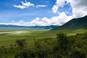 Tanzania plans tower rollout to boost coverage