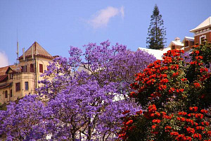 Axian Telecom secures US$100 million from EIB to invest in Madagascar and Tanzania