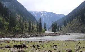 Pakistan lays out regional spectrum auction plans