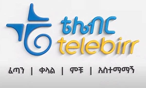 Ethio Telecom pursues smart city strategy in Bahir Dar