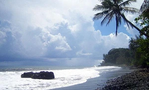 Google joins Humboldt Cable, which now includes French Polynesia