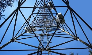 IHS Brazil, Claro, Vivo and TIM install shared tower in Ilha do Combu