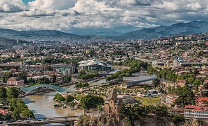 Georgia telecom sector’s growth stymied by weak demand