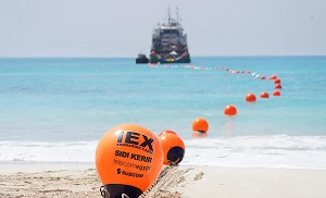 Telecom Egypt, Subcom complete two landing stations for IEX cable