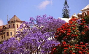Orange taps AMN for another NAAS deal in Madagascar