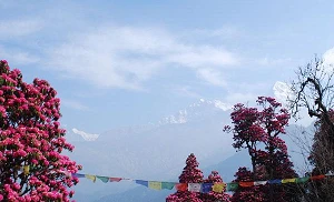 Nepal lifts block on social media sites 