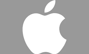 Apple sales in India hits $6 billion 