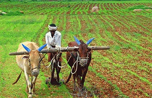 NEC-UNDP MoU positions AI as force for sustainability