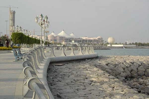 UAE announces 6G initiative