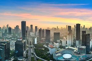 5G and rising data demand to drive Indonesia's mobile market growth