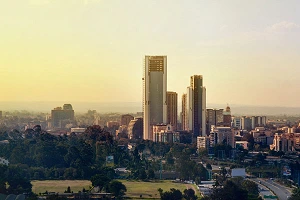 Payment service provision in Africa: a promising but challenging market 